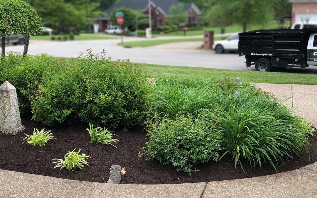Spring Cleanups: What, Why, and How