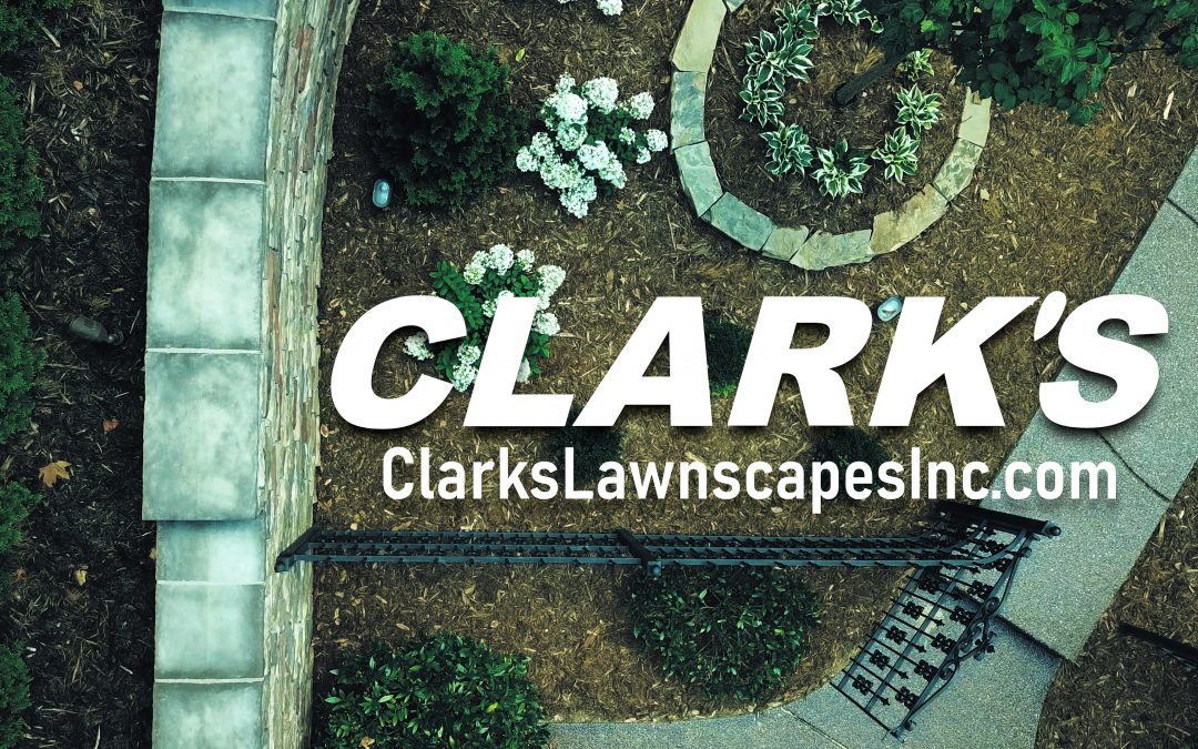 Residential Landscaping Demo