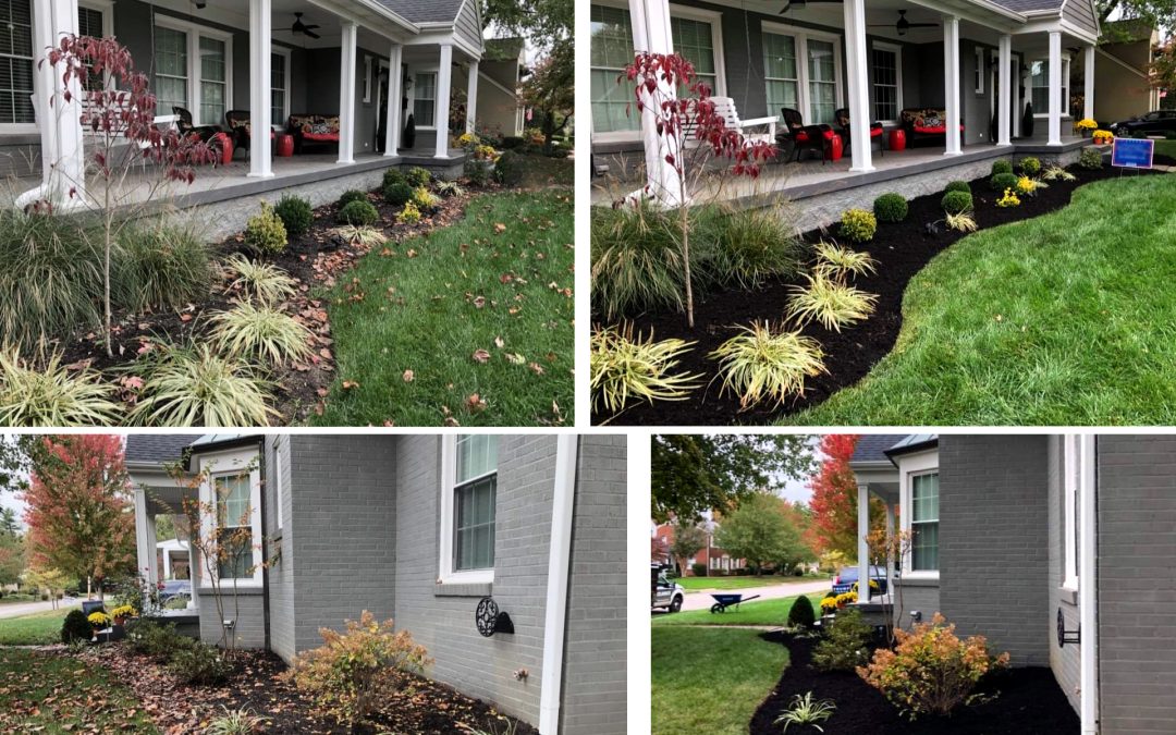 Fall Cleanup Before & After